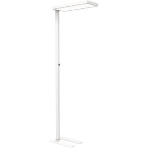 MAUL      Stehleuchte MAULjura 8257102   dimmbar, weiss