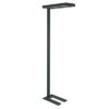 MAUL      Stehleuchte LED MAULjaval 8258490   schwarz, dimmbar