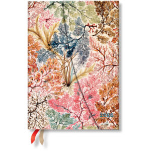 PAPERBLAN Agenda Anemone            2026 DD0590-3  1W/2S HOR Midi HC DE   13x18cm