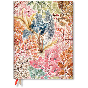 PAPERBLAN Agenda Anemone            2026 FD0699-3  1W/2S VER Ultra SC DE  18x23cm