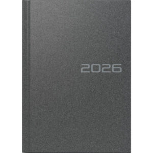 RIDOIDE   Mentor Reflection         2026 702601390 1T/1S grau ML      14.8x20.8cm