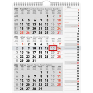 RIDOIDE   3-Monats-Kombiplaner      2026 703333000 3M/1S                  30x39cm