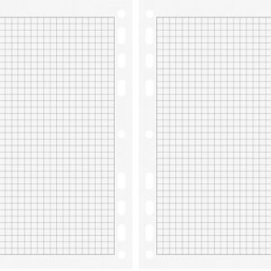 RIDOIDE   Timing 3 Notizen kariert 7067451   32 Blatt            7.6x12.7cm
