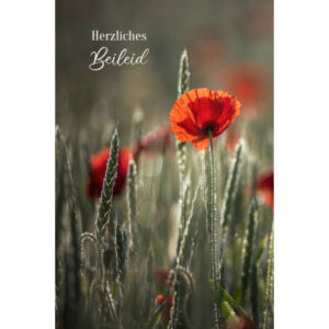 ABC       Trauerkarte                 B6 51904     Roter Mohn