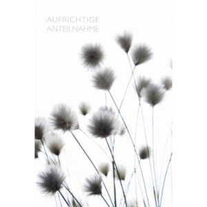ABC       Trauerkarte                 B6 51950     Schwarze Blüten