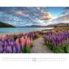 ACKERMANN Bildkalender              2026 2634      Wege ML                54x48cm – Bild 2