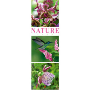ACKERMANN Bildkalender              2026 2656      Nature ML             33x100cm