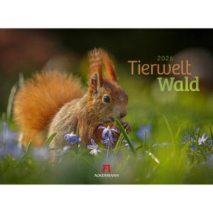 ACKERMANN Bildkalender              2026 2682      Tierwelt Wald D        45x33cm
