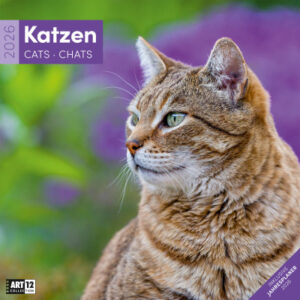 ACKERMANN Bildkalender              2026 4620      Katzen ML              30x30cm
