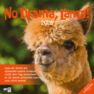 ACKERMANN Bildkalender              2026 4627      No Drama, Lama ML      30x30cm