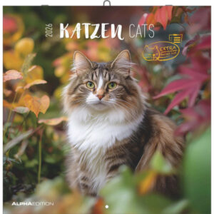 ALPHA EDI Bildkalender              2026 160298    Katzen ML              30x30cm