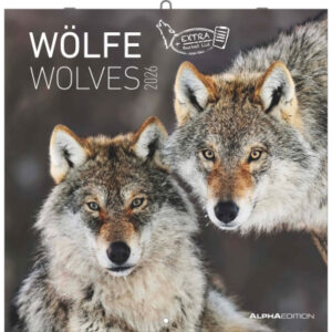 ALPHA EDI Bildkalender              2026 160301    Wölfe ML               30x30cm