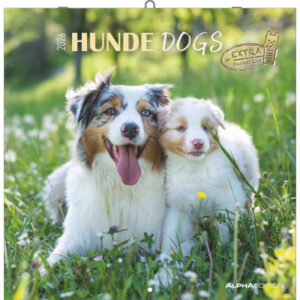 ALPHA EDI Bildkalender              2026 160302    Hunde ML               30x30cm