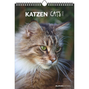 ALPHA EDI Bildkalender              2026 160493    Katzen ML            23.7x34cm
