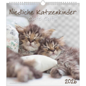 ALPHA EDI Bildkalender              2026 160575    Katzenkinder ML        30x34cm