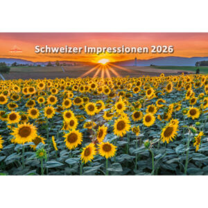 CALENDARI Bildkalender              2026 36205250  Impressionen ML        48x33cm