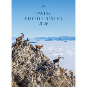 CALENDARI Bildkalender              2026 36205281  Swiss Photo Poster ML  50x68cm