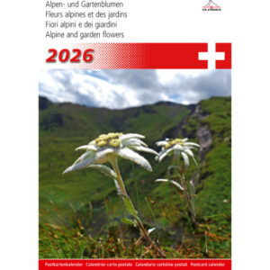 CALENDARI Bildkalender              2026 36205397  Alpenblumen ML       14.8x22cm