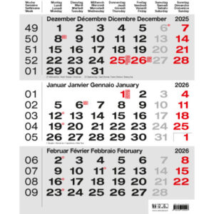 CALENDARI 3-Monats-Wandkalender     2026 36205526  grau                   31x40cm