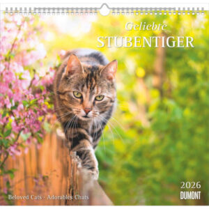 DUMONT    Bildkalender              2026 260612    Stubentiger ML       38x35.5cm