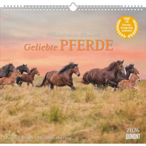 DUMONT    Bildkalender              2026 260613    Pferde ML            38x35.5cm