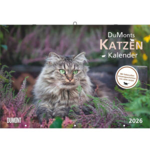 DUMONT    Bildkalender              2026 260621    Katzen DE              42x29cm