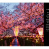 HARENBERG Tischkalender             2026 276390026 Reise um die Welt DE   23x17cm – Bild 3