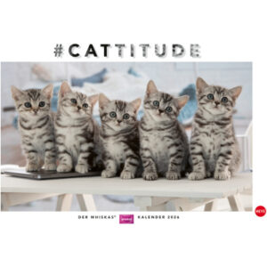 HEYE      Bildkalender              2026 1130+26   Whiskas Katzen DE      45x30cm