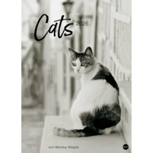 HEYE      Bildkalender              2026 22848+26  Wegler Cats Edition DE 49x68cn