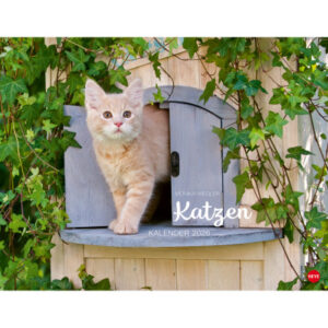 HEYE      Bildkalender              2026 23165+26  Wegler Katzen DE       44x34cm