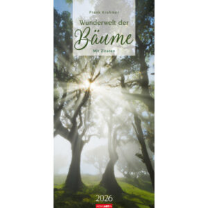 WEINGARTE Bildkalender              2026 295860026 Wunderwelt Bäume DE    33x68cm