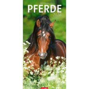 WEINGARTE Bildkalender              2026 311930026 Pferde DE              33x68cm