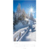 WEINGARTE Bildkalender              2026 315020026 Im Wald DE             33x68cm – Bild 2