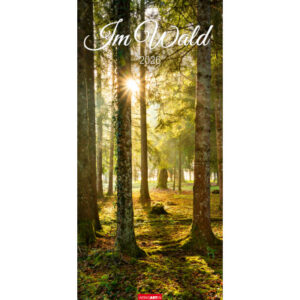 WEINGARTE Bildkalender              2026 315020026 Im Wald DE             33x68cm