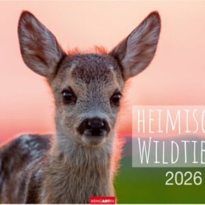 WEINGARTE Bildkalender              2026 331219826 Heimische Wildtiere    44x34cm