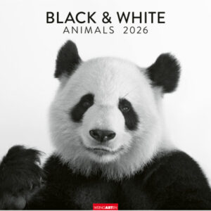 WEINGARTE Bildkalender              2026 331224326 Black&White Animals    55x46cm