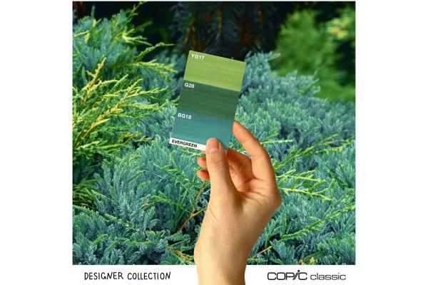 COPIC     Marker Classic Designer 200750307 Evergreen tints        3 Stück – Bild 3