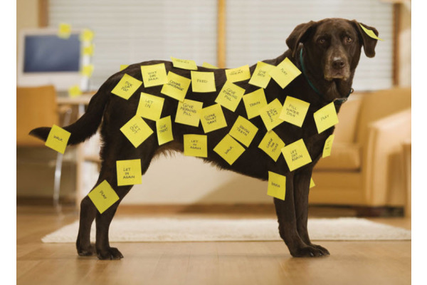 POST-IT   Block                  76x76mm 654-6     gelb/100 Blatt – Bild 4