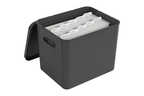 ROTHO Archivbox MyPaper 64508080 29x29.5x40cm schwarz
