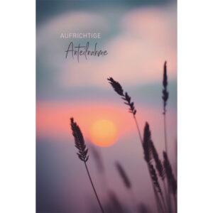 ABC Trauerkarte B6 51967 Schilf