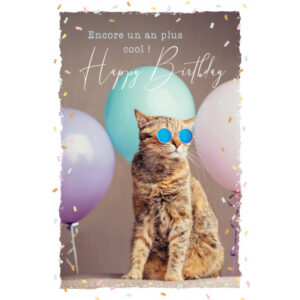 ABC       Geburtstagskarte FR         B6 53066     Sunny Cat