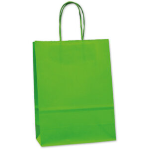 ELCO Tragetasche 180x80x240mm 84101.45 grün 25 Stück