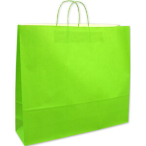 ELCO Tragetasche 450x150x490mm 84202.45 grün 25 Stück