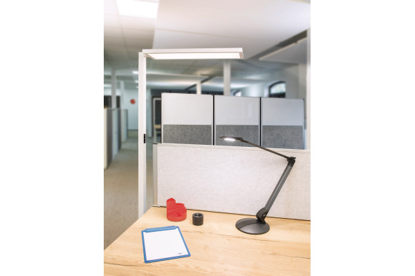 MAUL Stehleuchte MAULsenja 8258802 Bewegung-/Lichtsensor, dim. – Bild 3