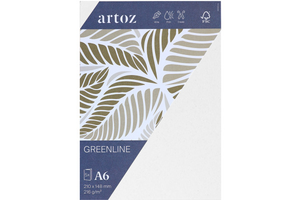 ARTOZ Karten 1001 A6 232226211 216g, birch 5 Blatt