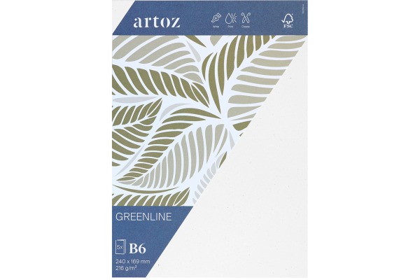 ARTOZ Karten 1001 B6 236226211 216g, birch 5 Blatt
