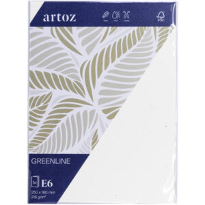 ARTOZ Karten 1001 E6 237226211 216g, birch 5 Blatt