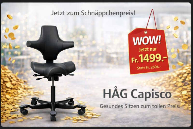 Einmaliges Angebot: HÅG Capisco Leder