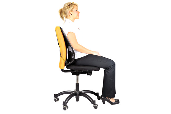 FELLOWES Rückenstütze Professional 8029901 Rückenstütze – Bild 2