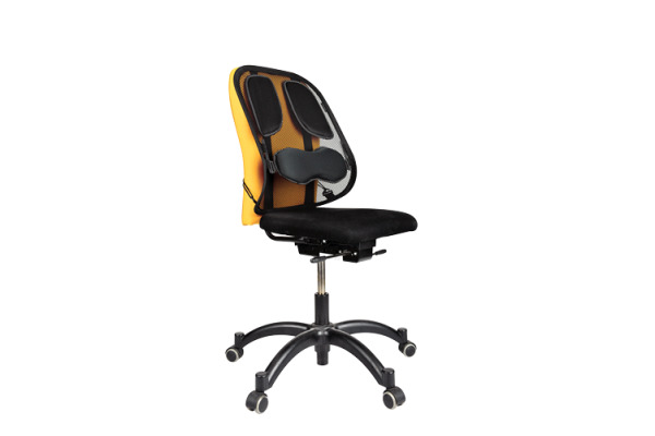 FELLOWES Rückenstütze Professional 8029901 Rückenstütze